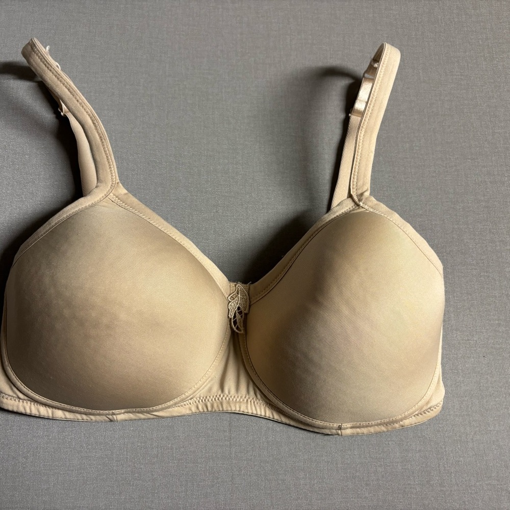 Amoeba Women's Beige Bra 36C